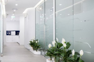 220913-DentalCorner-Advanced-24